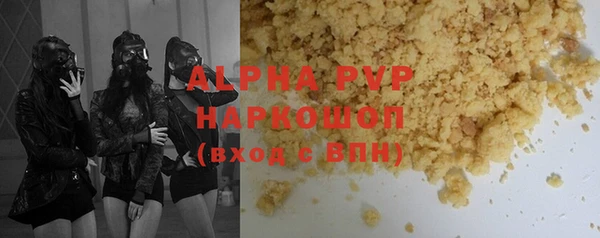 прущие грибы Вязьма
