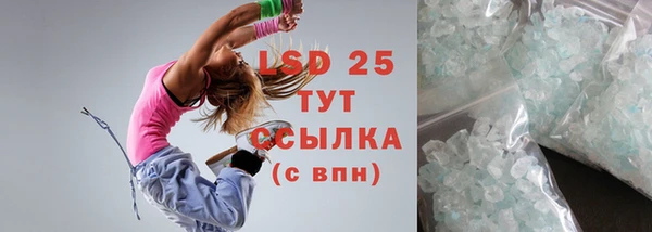 прущие грибы Вязьма