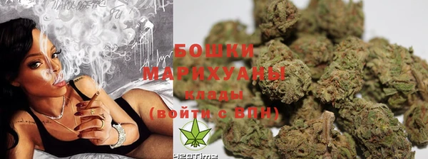 прущие грибы Вязьма
