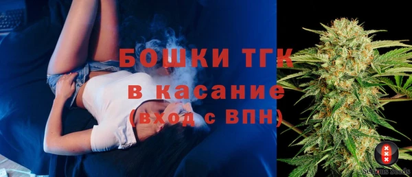 прущие грибы Вязьма