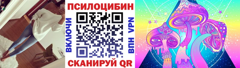 Галлюциногенные грибы Psilocybine cubensis  дарнет шоп  Заозёрск 